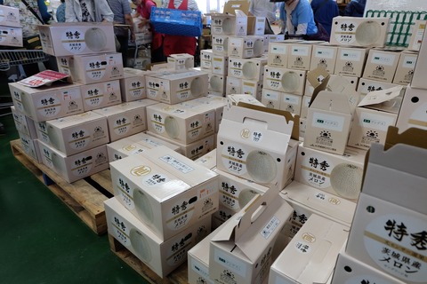 DSCF4239