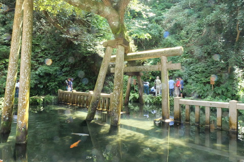 DSCF2093
