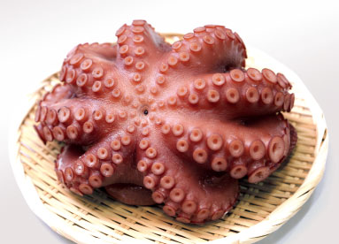 recipe01_img01_s