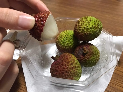 line_958152945476769