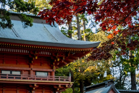 鹿島神宮×紅葉