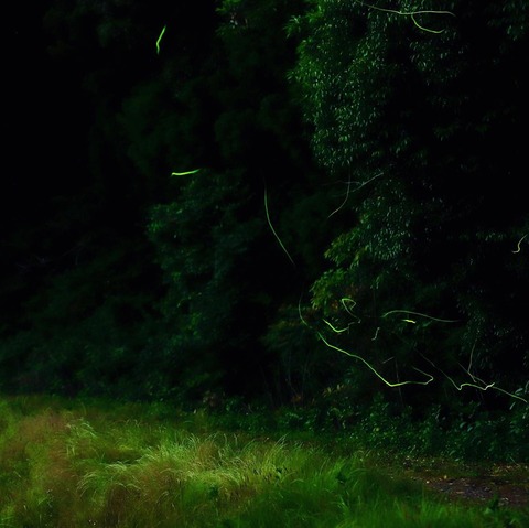 61535499_2696264937075103_2679032421210390528_n