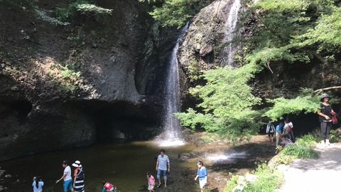 line_451370691710520