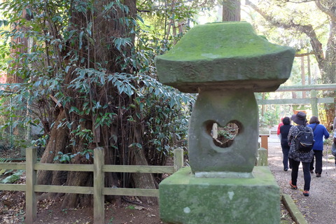 DSCF9954