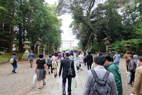 DSCF9505