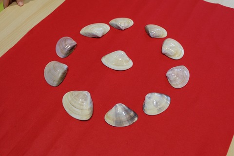 DSCF8589