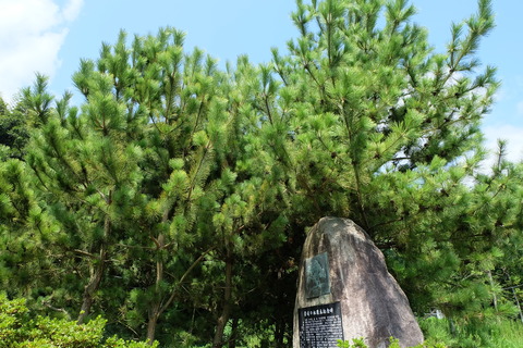 DSCF2458