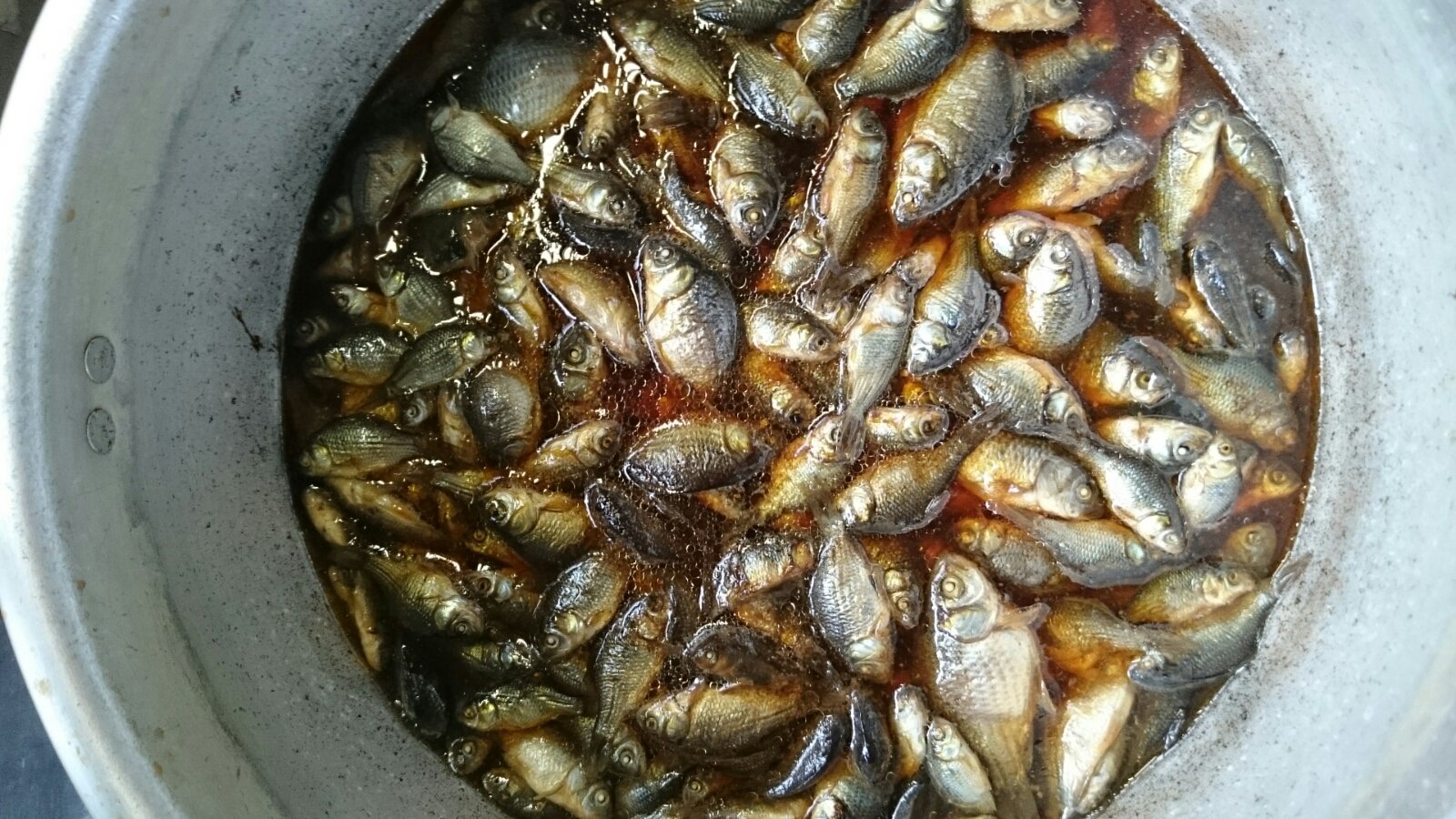 子鮒の甘露煮 手作りジャム日記 子鮒の甘露煮 手作りジャム日記