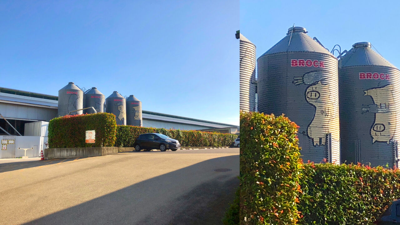 Camera7で撮影した「くりの木ランチ」のタンクに描かれた豚 - 1