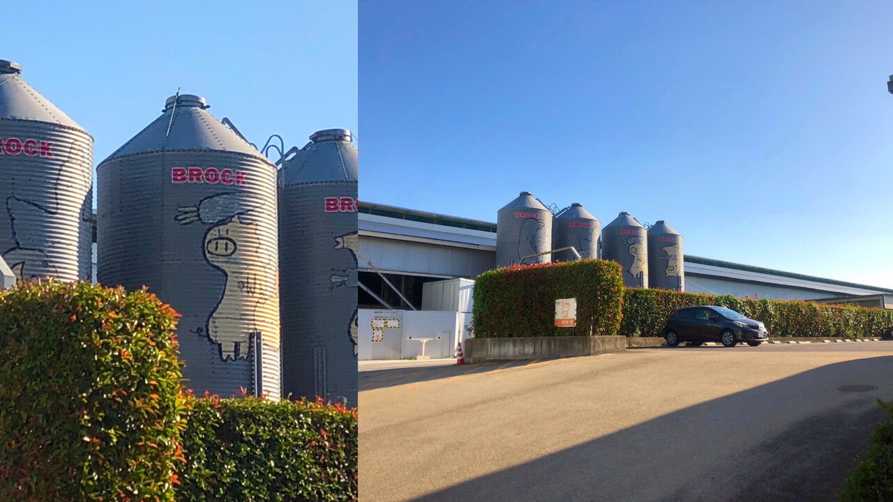 Camera7で撮影した「くりの木ランチ」のタンクに描かれた豚 - 2