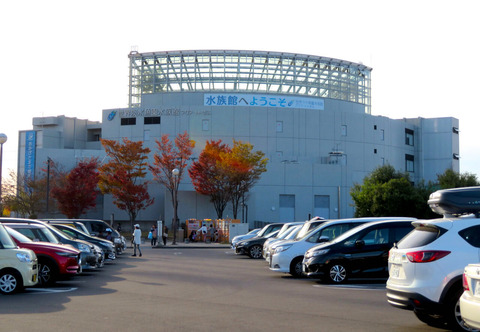 各務原市にある水族館「アクア・トトぎふ」は良くできてるなと感心！