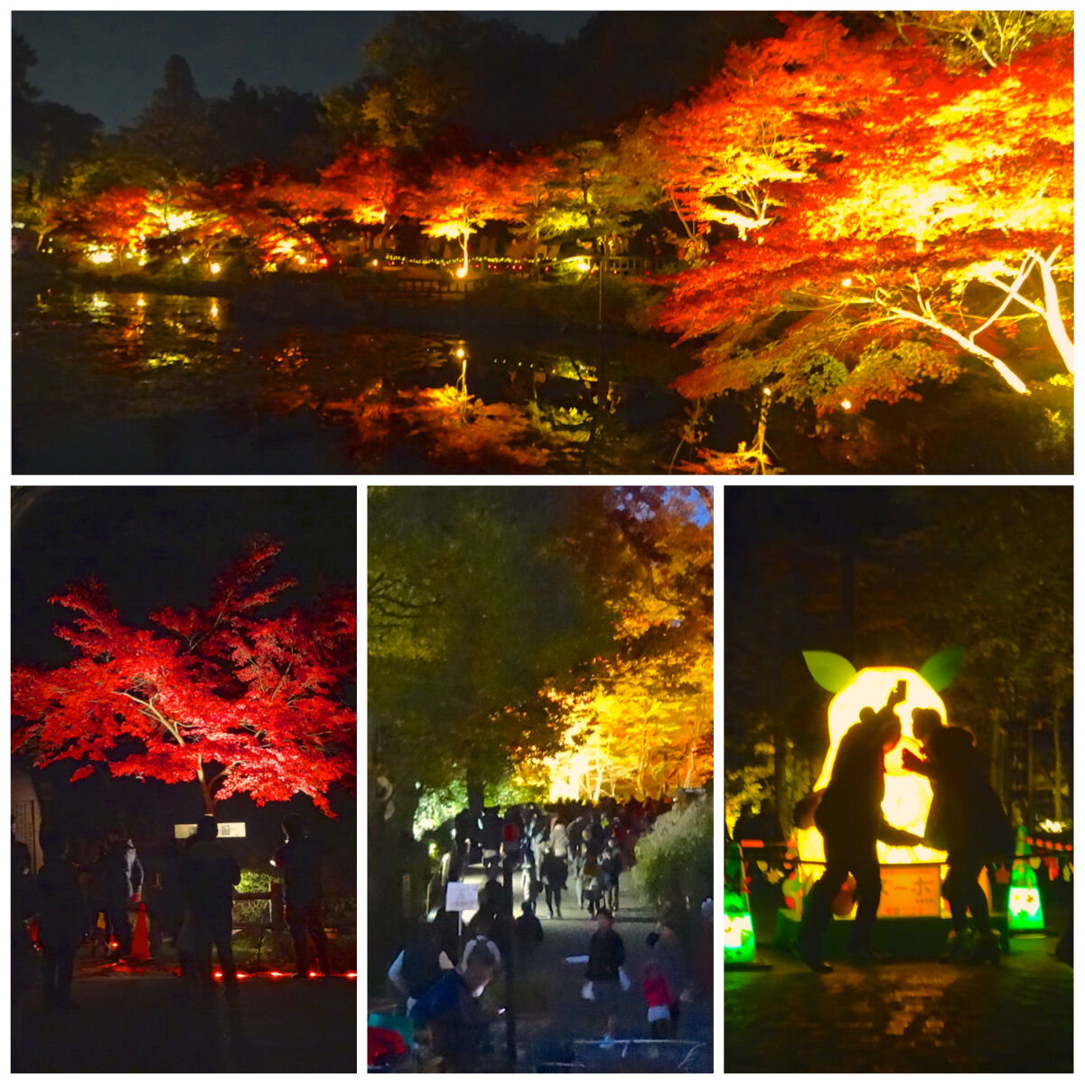 東山植物園の「紅葉ライトアップ」に感動！！ - その1