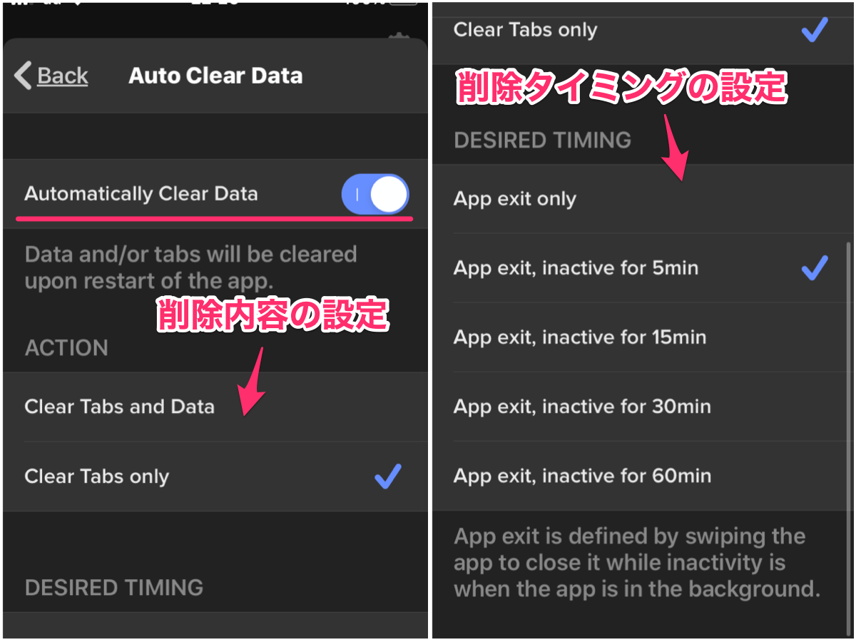 DuckDuckGo Privacy Browser 7.35.0:自動的にタブ等のデータを消去する機能 - 6