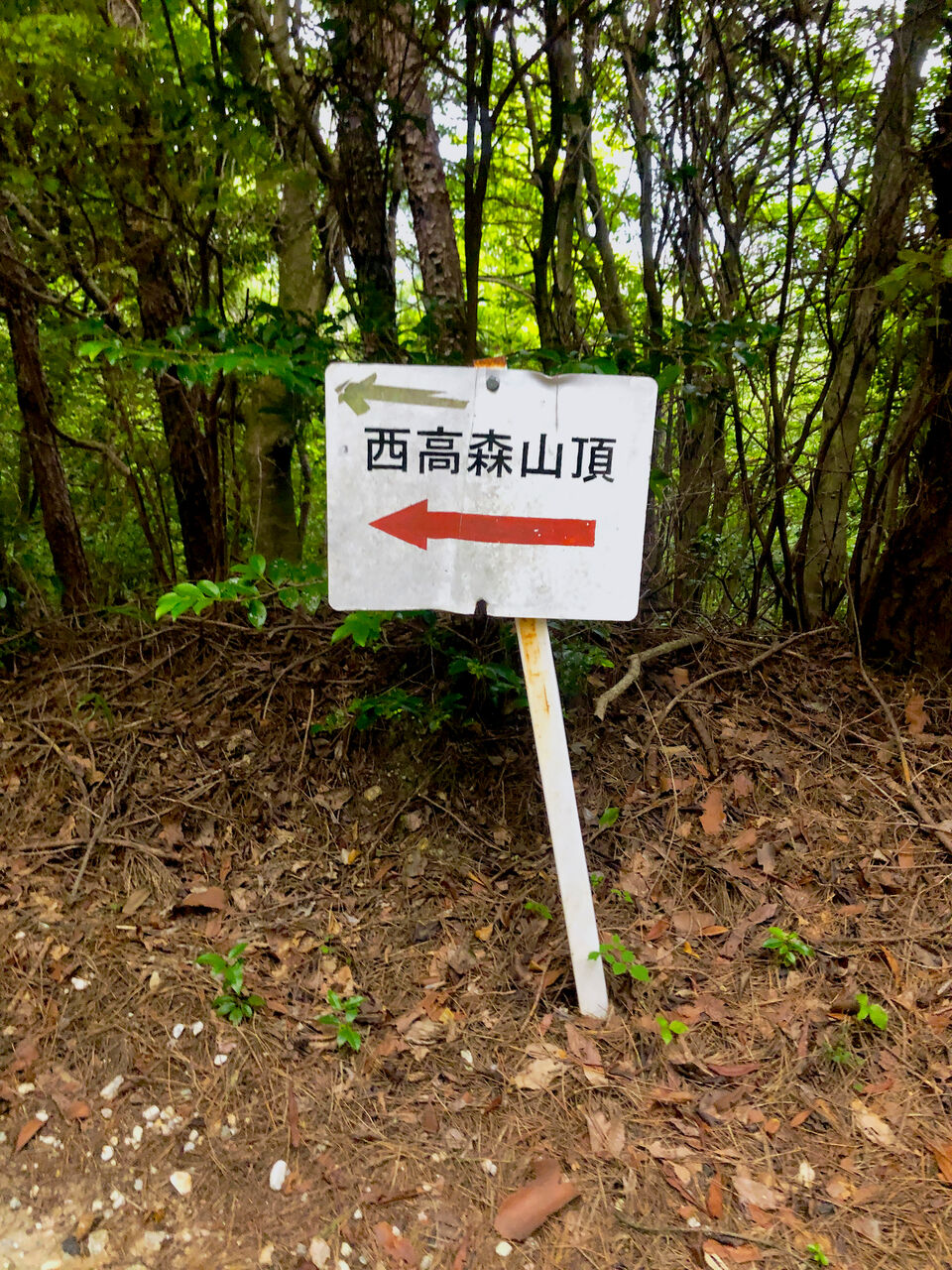 西高森山の登山道 - 12:山頂への矢印案内板