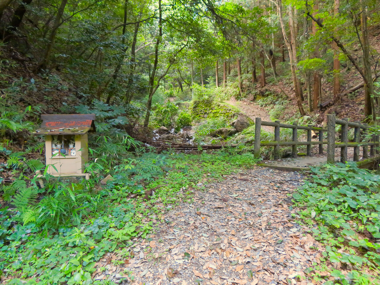 道樹山：柿ノ木川沿いの登山道 - 6（祠と橋）