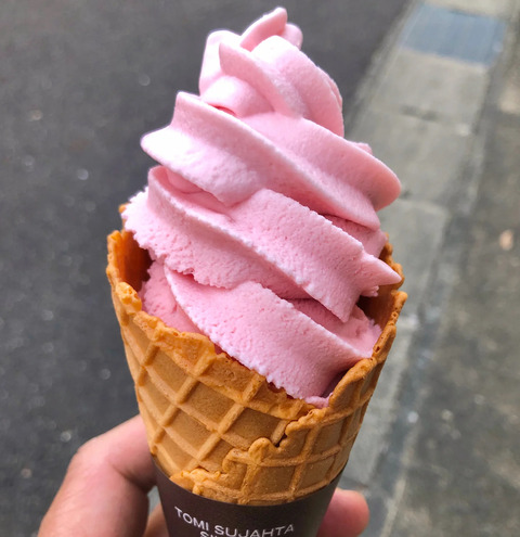 さくら餅ソフトが思ったより桜餅味で驚いた話と虎渓公園・永保寺巡り