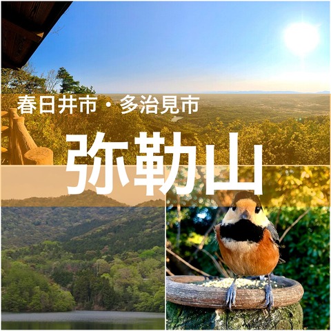 手軽に登れて眺めが綺麗♪野生動物とも触れ合える？「弥勒山」