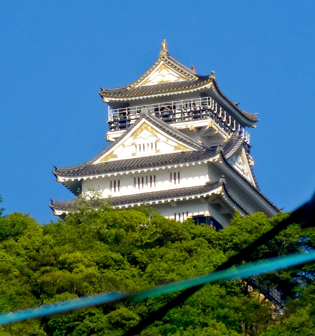 金華山の麓から見上げた岐阜城 - 4