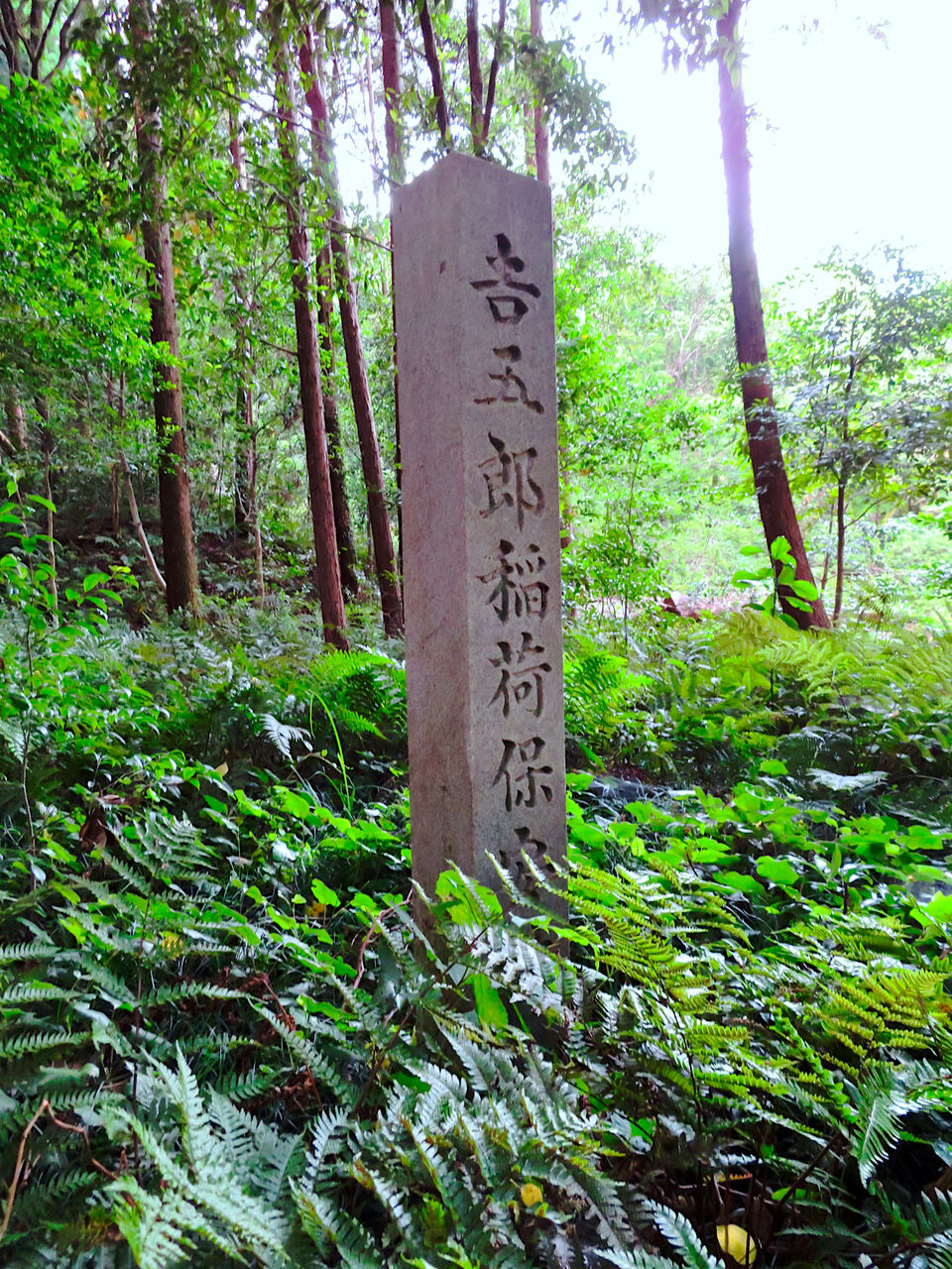 吉五郎稲荷 - 2