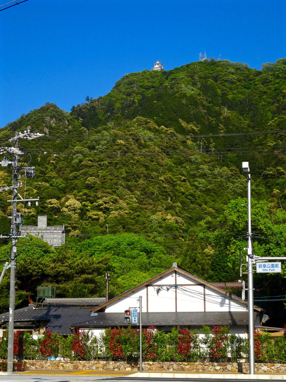 金華山の麓から見上げた岐阜城 - 1