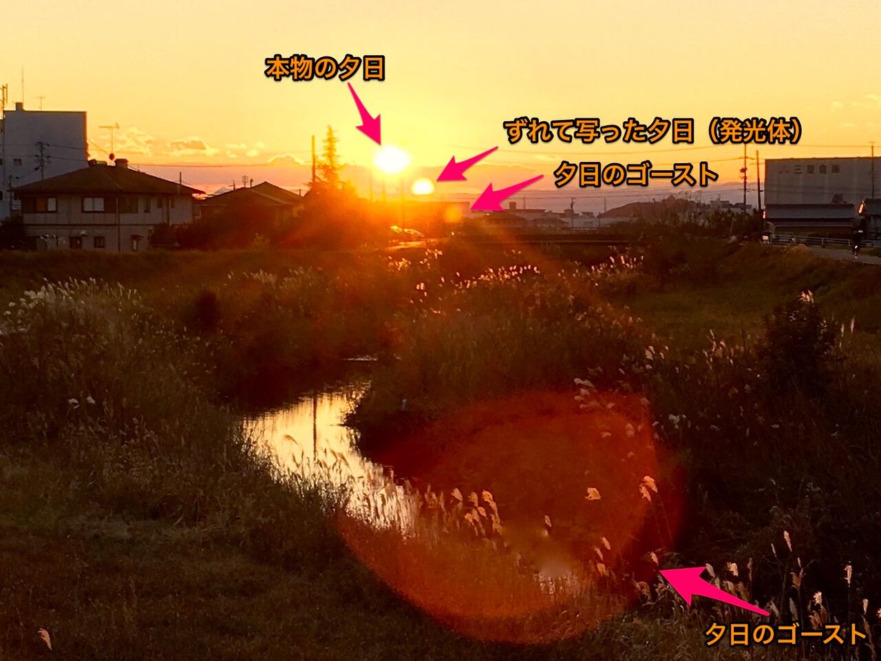 夕日のゴースト