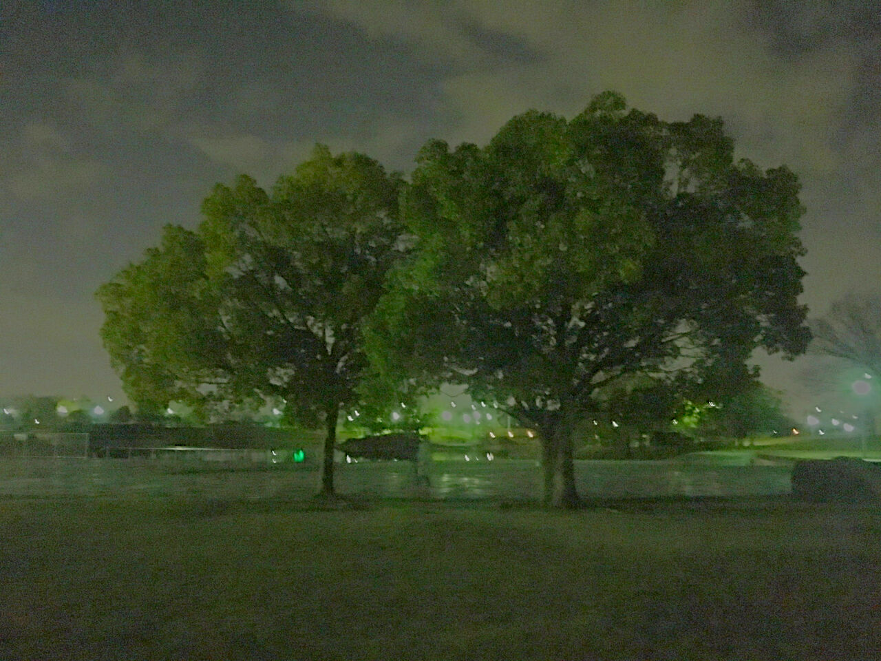 多機能写真・動画撮影&編集アプリ「Musemage」:HDR >夜間モードで撮影 - 6(撮影した写真)