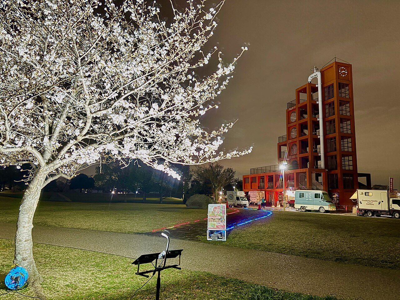 夜の落合公園桜まつり 2025 - 4