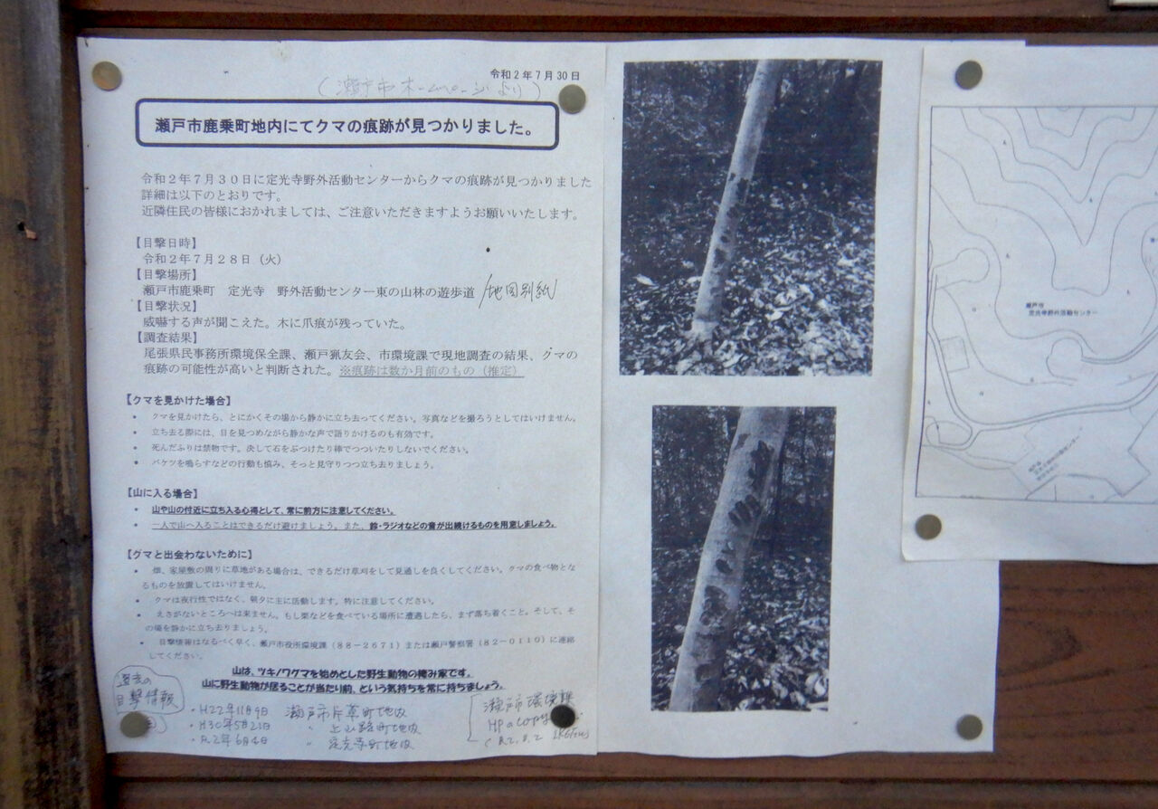 定光寺自然休養林 森林交流館横に掲示されてた近郊の熊の出没情報。熊が目撃された時間や場所、爪研ぎを行った木の写真などが記載されています。