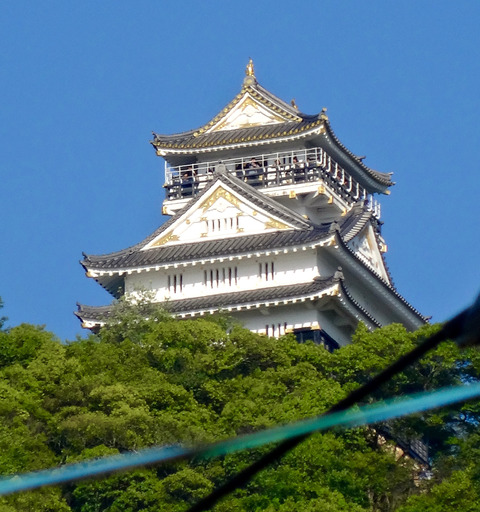様々な場所から見た岐阜城