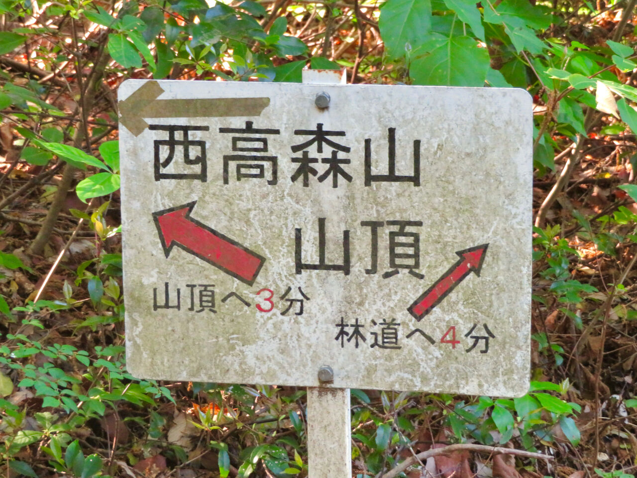 西高森山の登山道 - 11:山頂への案内板