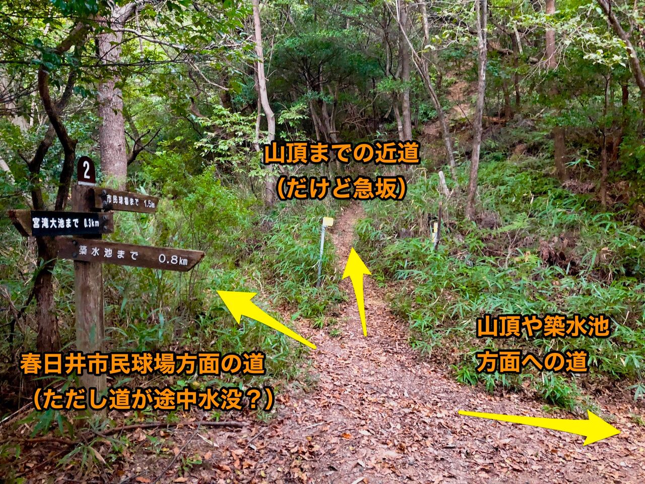 西高森山の登山道 - 16:「2」番の分かれ道(説明)