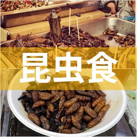 昆虫食について話してるポッドキャスト番組