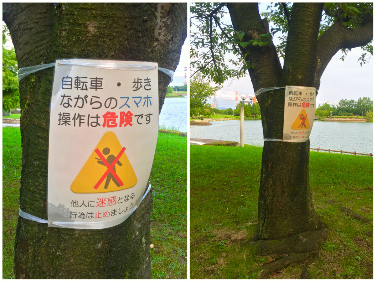 落合公園：ポケモンGoの影響で「歩きスマホ」や「自転車乗りながらのスマホ」の注意書き - 5