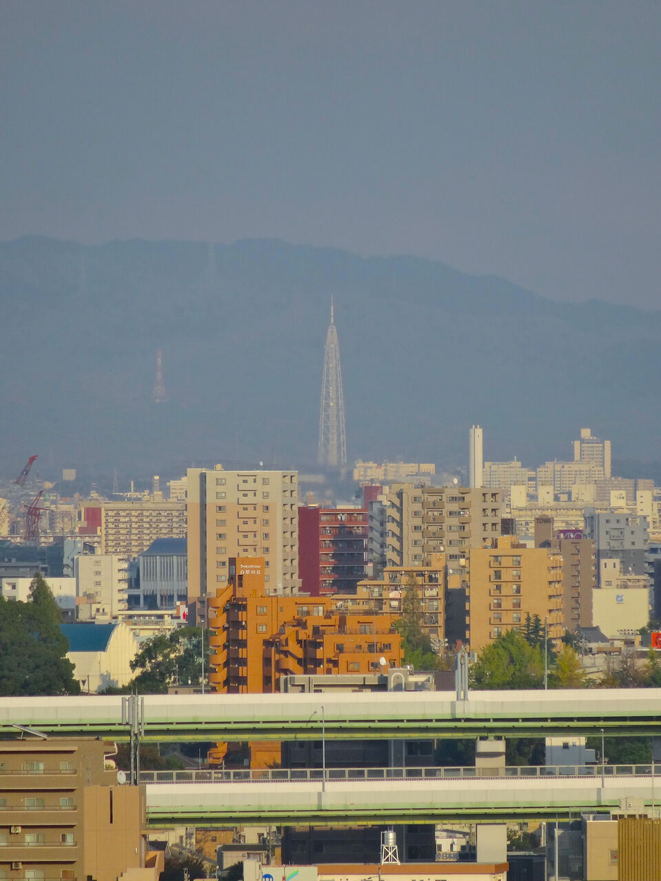 秋の名古屋城 - 24:天守閣最上階からの眺め(瀬戸デジタルタワー)