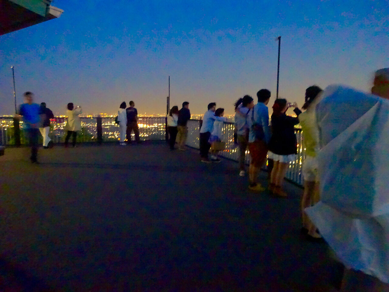 岐阜公園：展望レストランの展望台から見た夜景 - 27