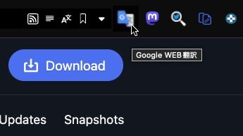 アドレスバーに追加されたボタン。Google 翻訳のアイコンを使用。