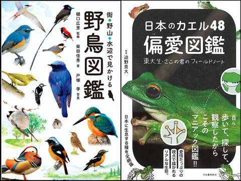 最近読んだ本：『街・野山・水辺で見かける野鳥図鑑』『日本のカエル48 偏愛図鑑』