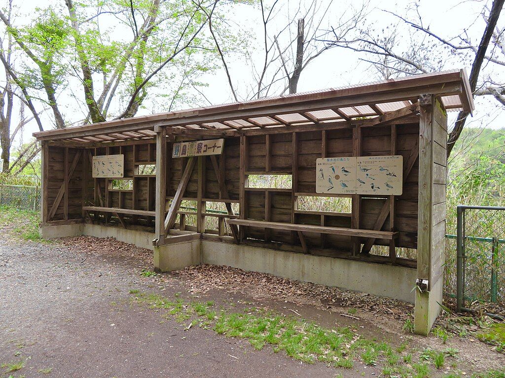 Bird watching palce at lakeside of Chikusuiike