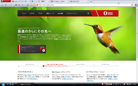 Operaスキン「Netscape Resurrection」レビュー