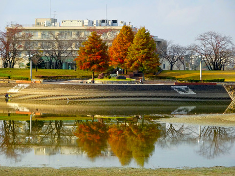 落合公園は紅葉もお薦め♪