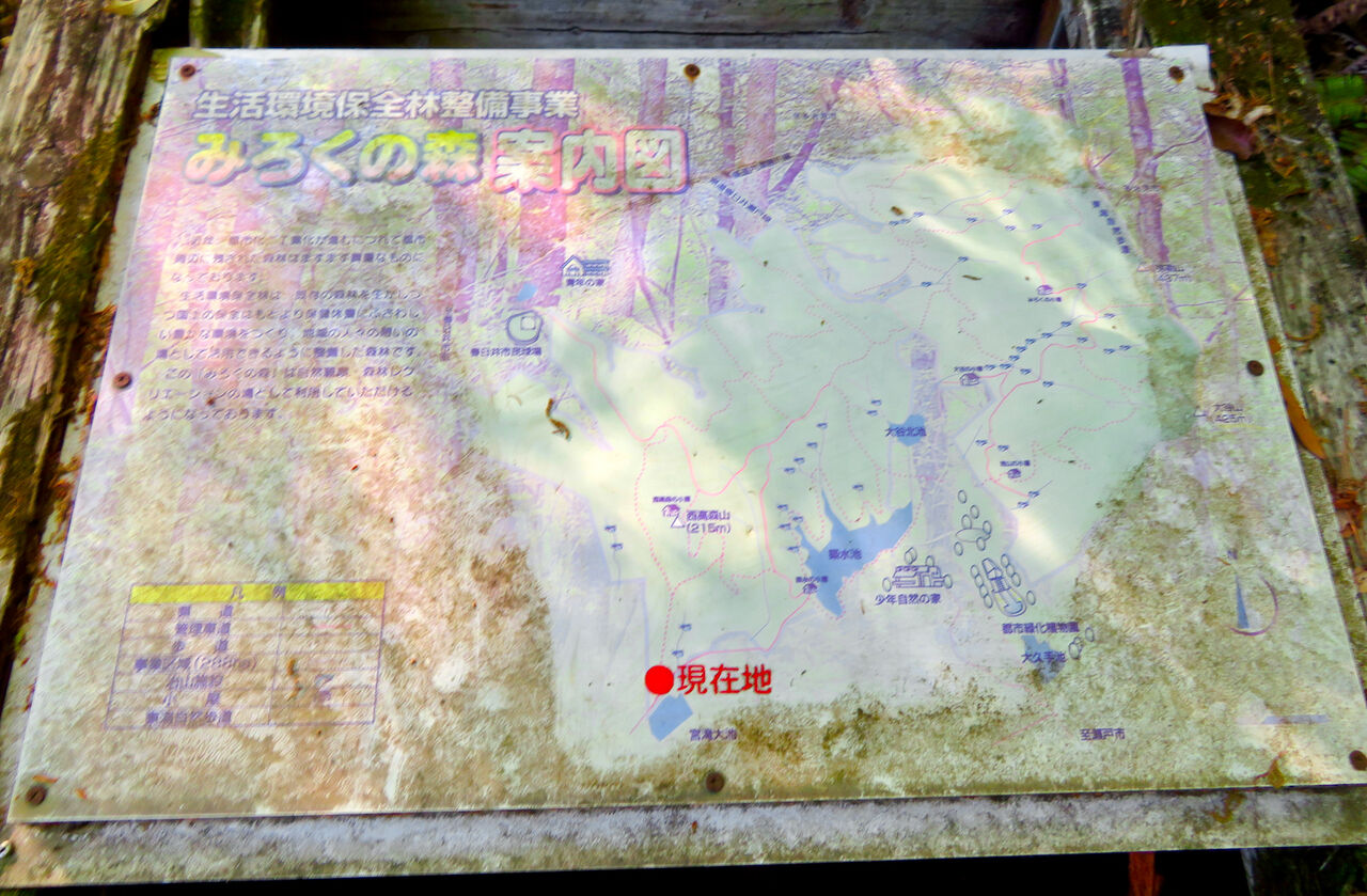 西高森山の登山道 - 3:登山道入口の「No.1」の分かれ道にある「みろくの森」案内図