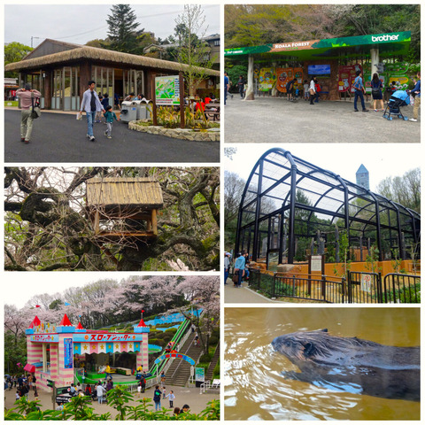 春の東山動植物園で感じたこと、気になったこと（その2）：色んな施設がリニューアル、他