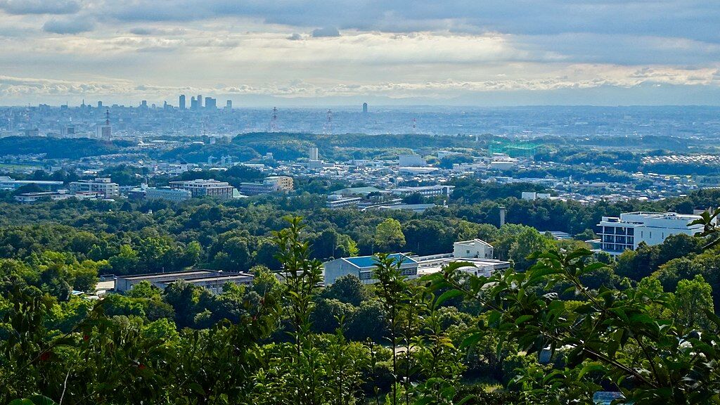 Skyscrapers of Meieki from Mount Nishitakamori - 1