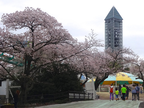 様々な場所から見た東山スカイタワー