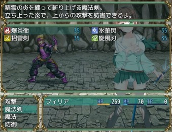 FairyWarriorFiria_b014