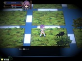 iris_b3-1