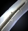1-05_分子ブレード