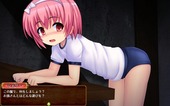 ShelleyNtr_b2-4