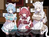 hmaid_b1-4