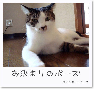 3834
